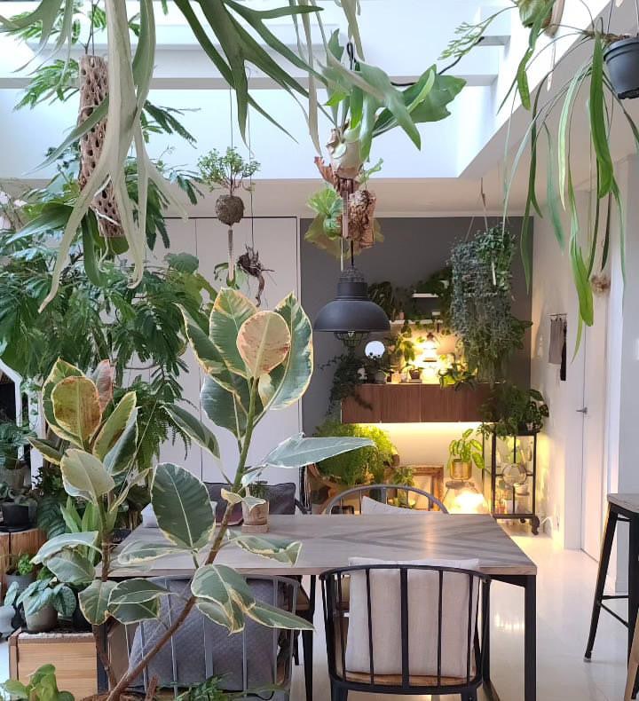 植物育成ライト専門店BARREL公式サイト